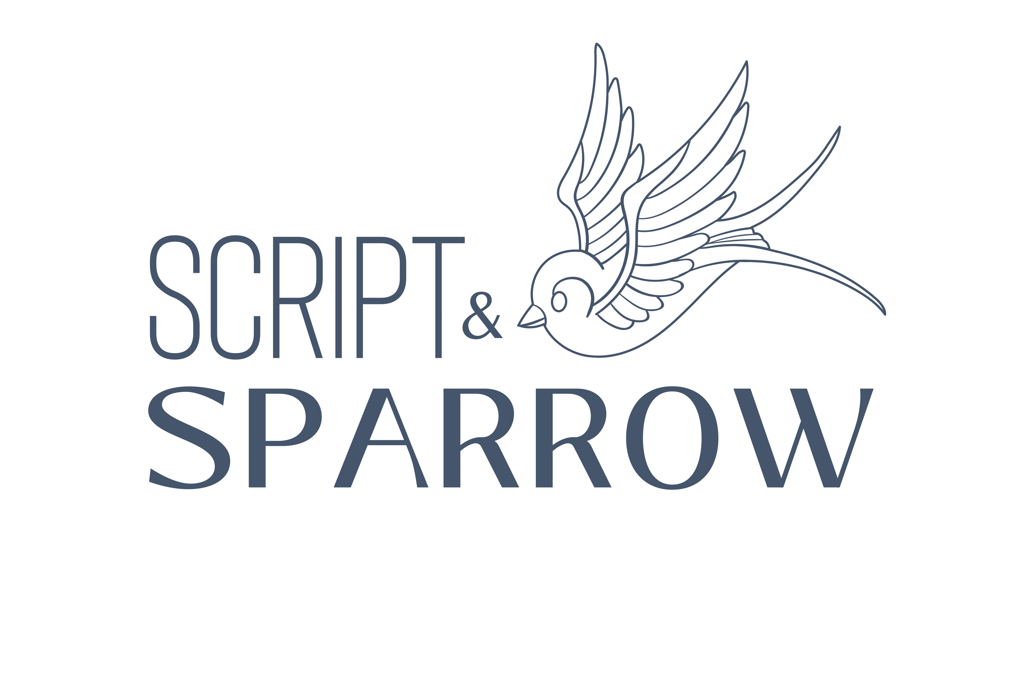 Script & Sparrow